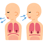呼吸の図